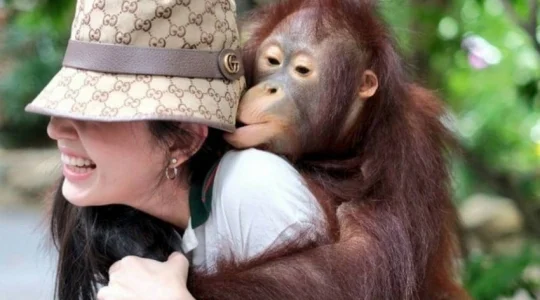 サファリワールド&マリンパーク